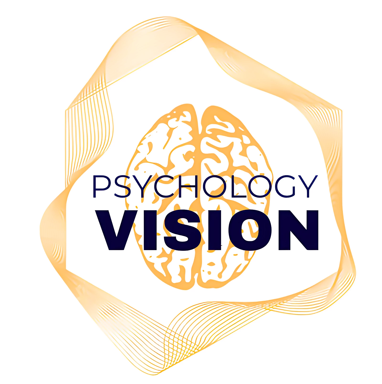   PSYCHOLOGY VISION 